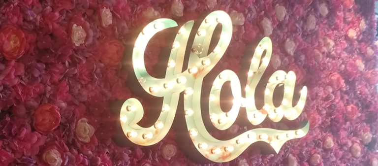 hola 2 768x337