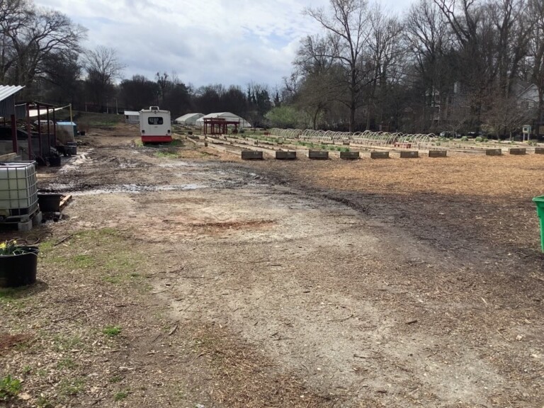 459039346 516350954362759 175727540518158402 n 768x576